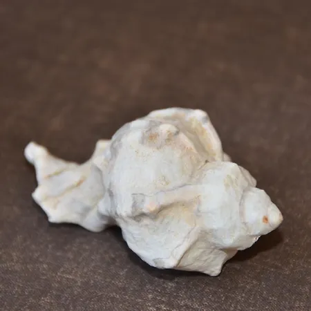 House Mokalo Orebić