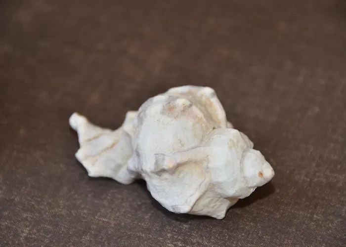 House Mokalo Orebić